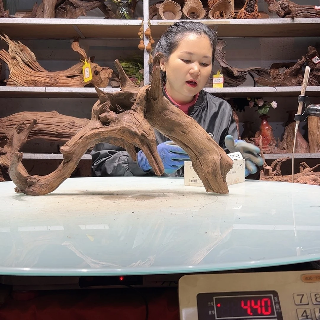 a***伯紫砂紫柚不包损不包秒沉2559