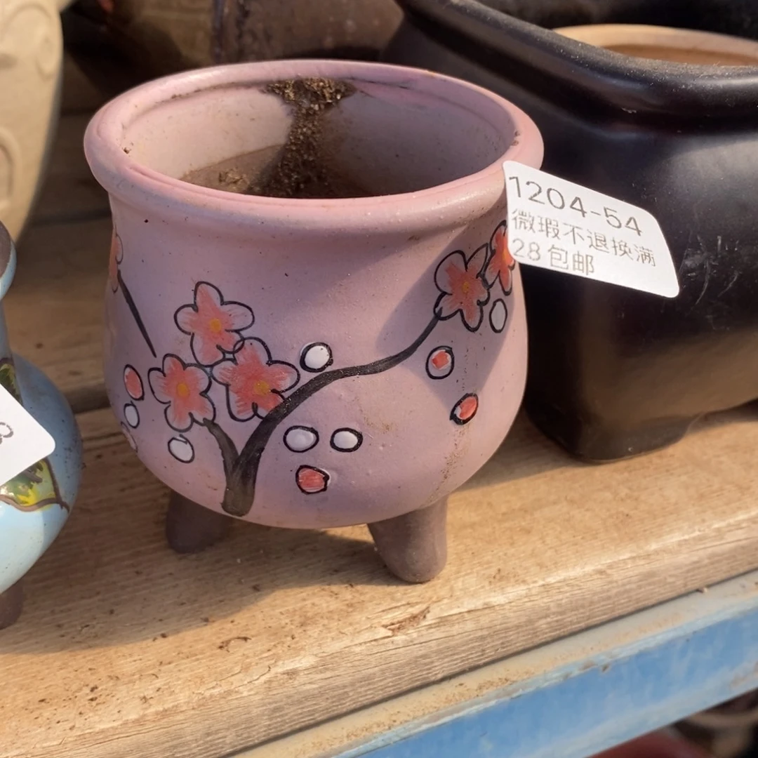 54号多肉盆口径6.5