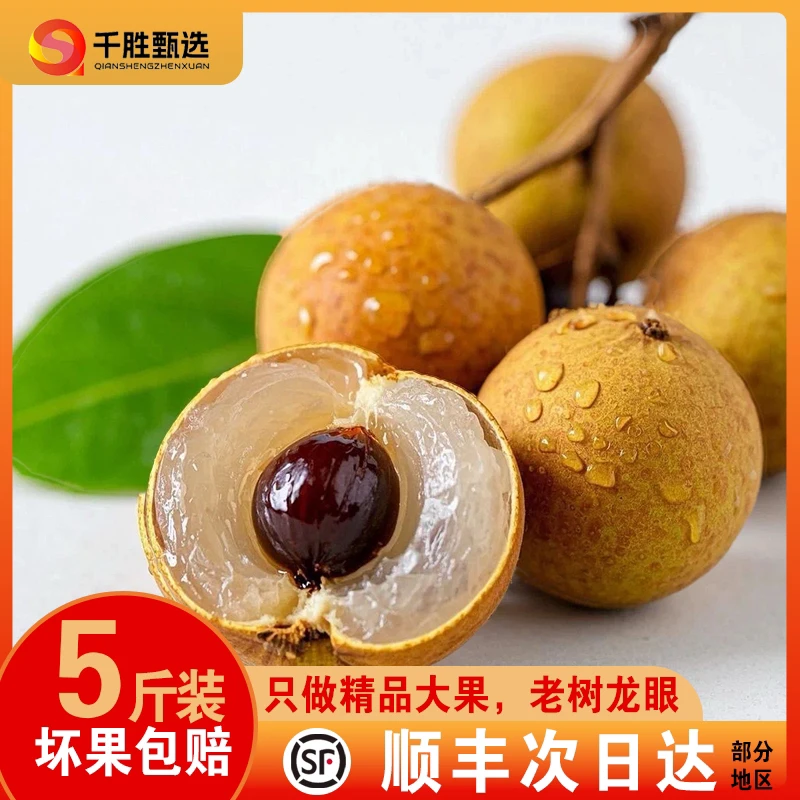 【顺丰包邮】精选广东龙眼石硖储良龙眼新鲜现摘清甜多汁肉厚饱满