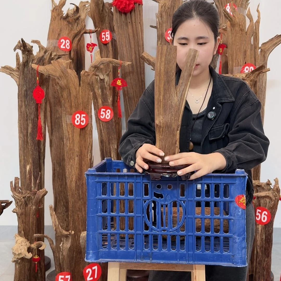 沉香碎屑沉香原材料