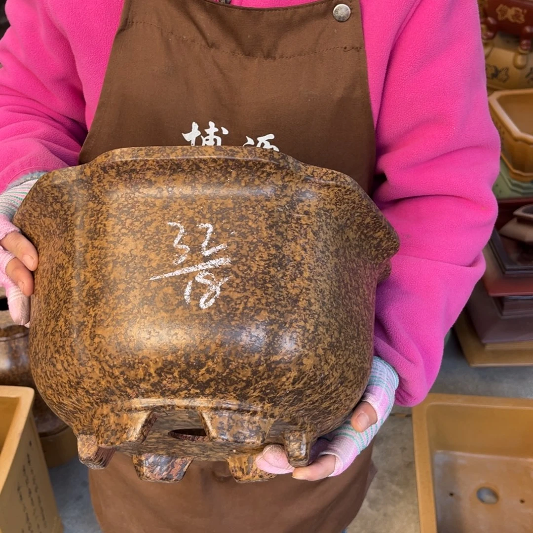 花盆紫砂盆景艺术