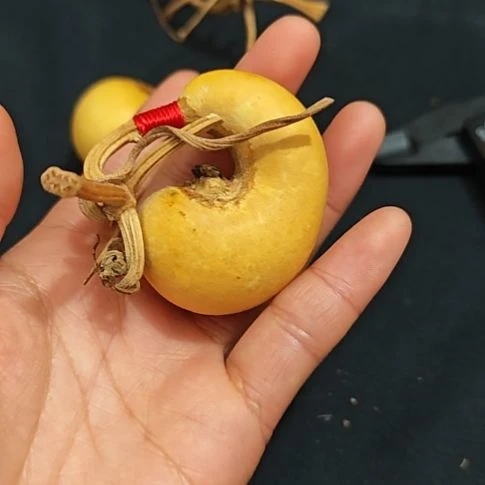 河***枣呼噜呼噜呼噜呼噜