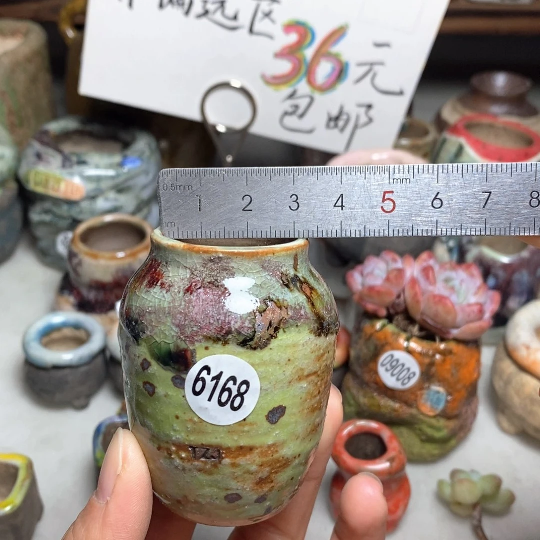 花盆拍5送一个小礼物