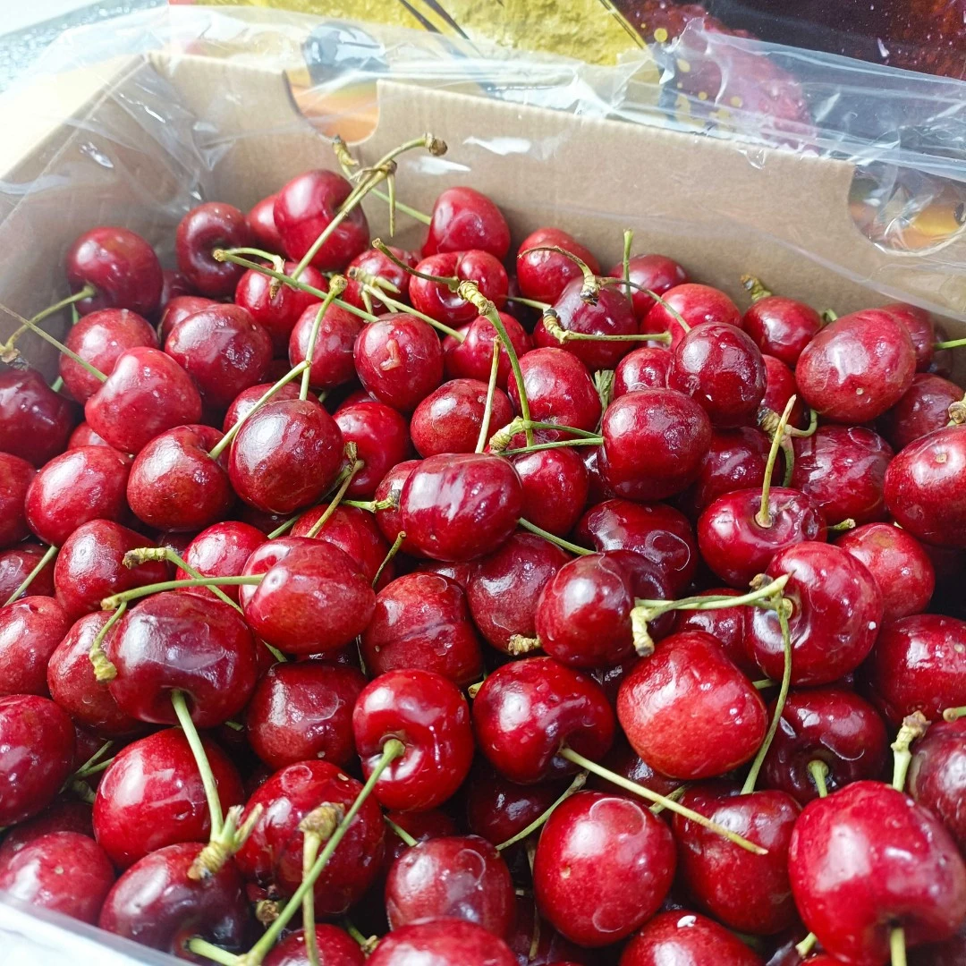 空运2J车厘子1000克（颜色带劲）瑞吉娜樱桃澳大利亚联邦