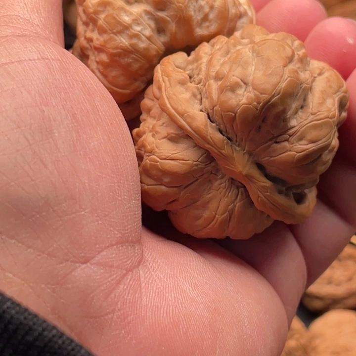 文玩核桃吊坠日*月6蛤蟆头