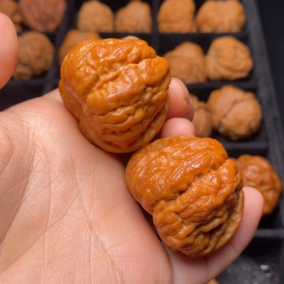 秦岭野生文玩核桃