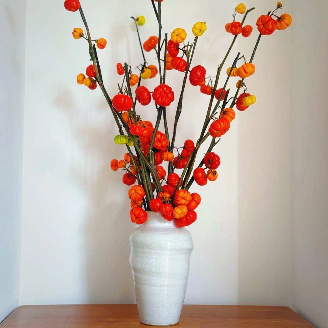 小南瓜鲜果花样装饰-超重发普通快递不参与凑单新鲜南瓜鲜花