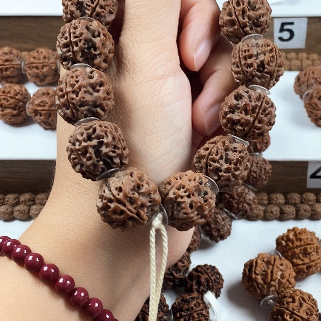 手串金刚菩提原生态4瓣蜂窝双龙