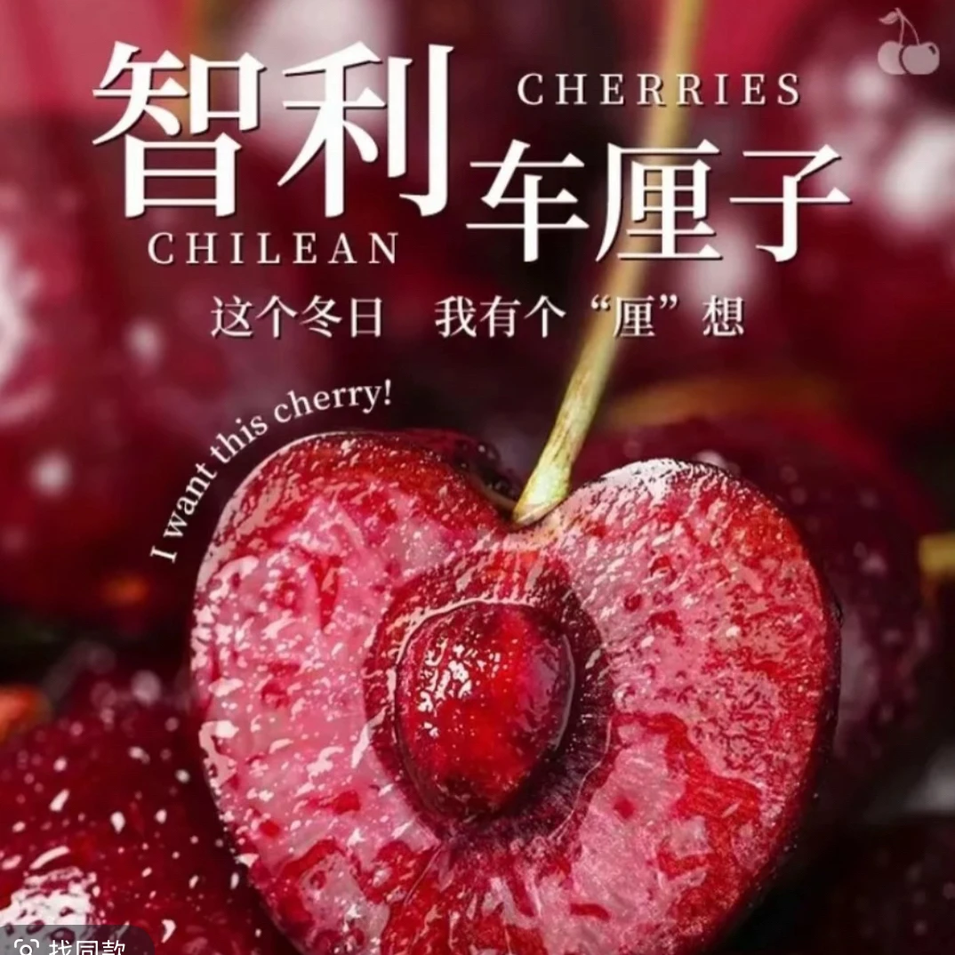 智利海运黑金豆2JD车厘子一箱5斤装智利