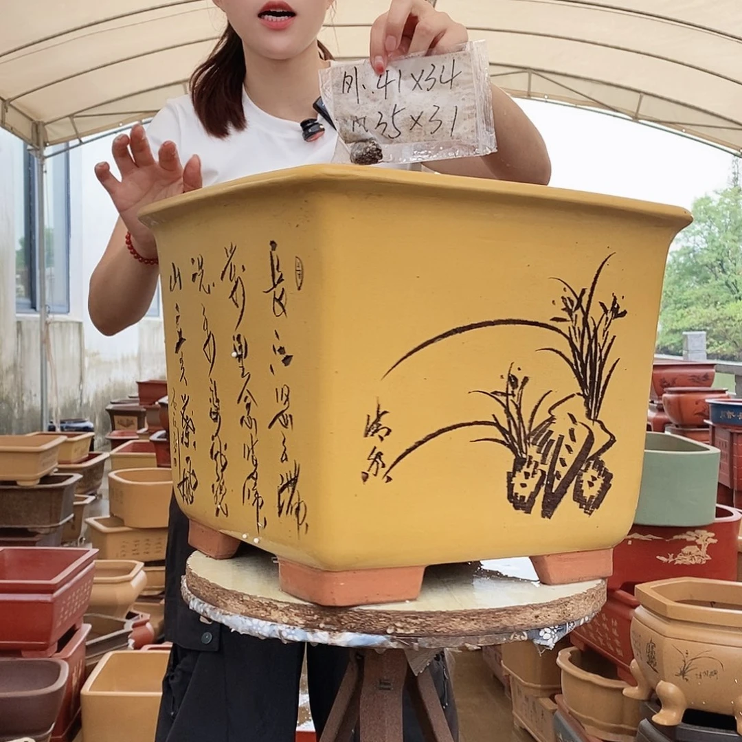 紫砂花盆紫砂花盆