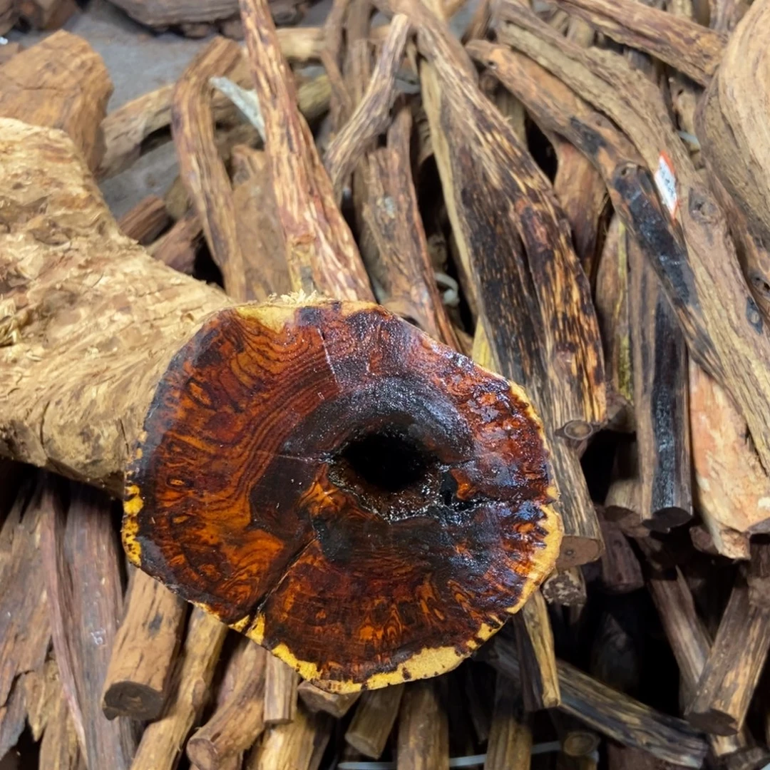 文***准香粉云南龙肝香1.3圆珠横纹