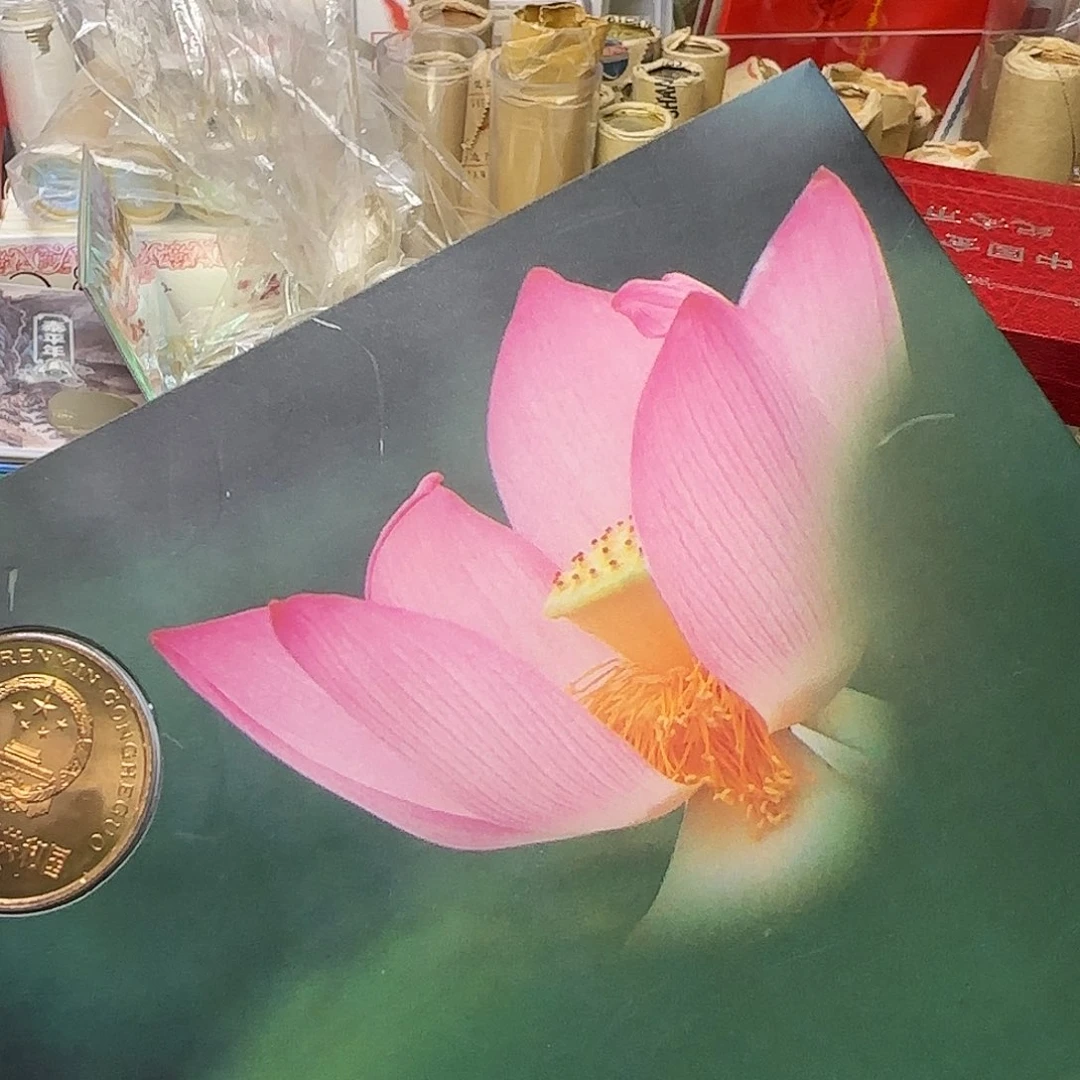 合金熊猫夏卡福利福利出