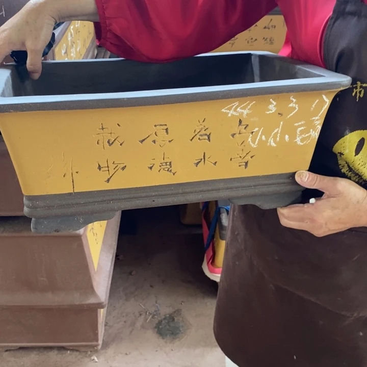 紫砂花盆你是什么情况你