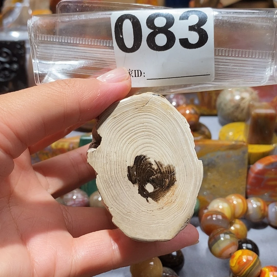 硅化玉天然北票硅化玉原石未镶嵌