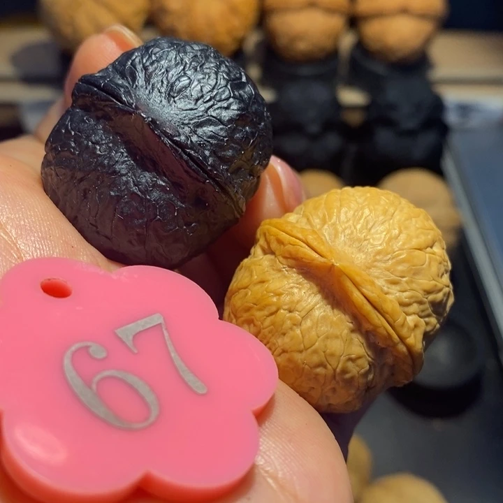 核桃烆双色龙珠尺寸34.