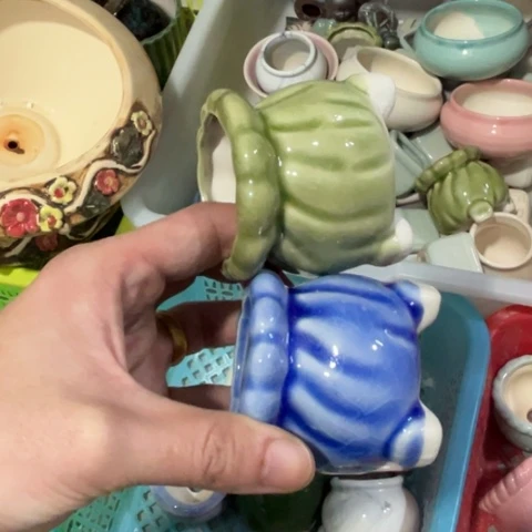 2［所有订单凑满15包邮］5×6