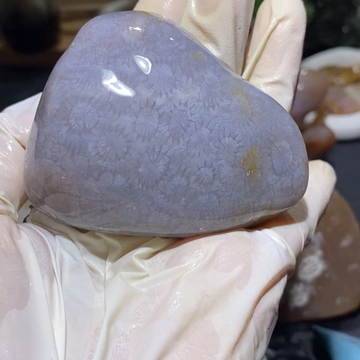 【闪购商品】未镶嵌珊瑚玉硅化玉