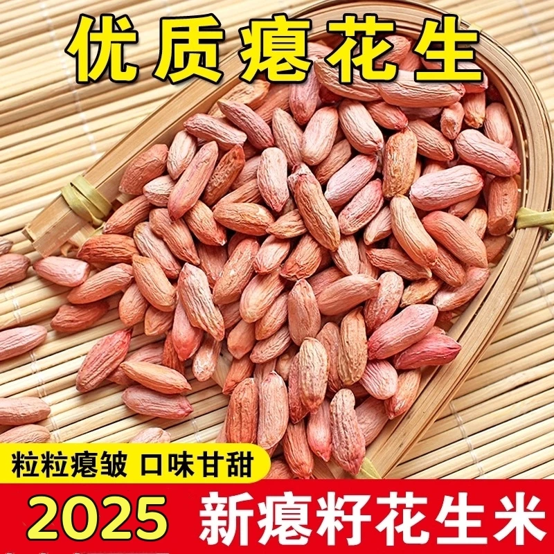 新货2025瘪花生山东农家生花生仁秕花生米秕子蓖眼小瘪子比眼半空