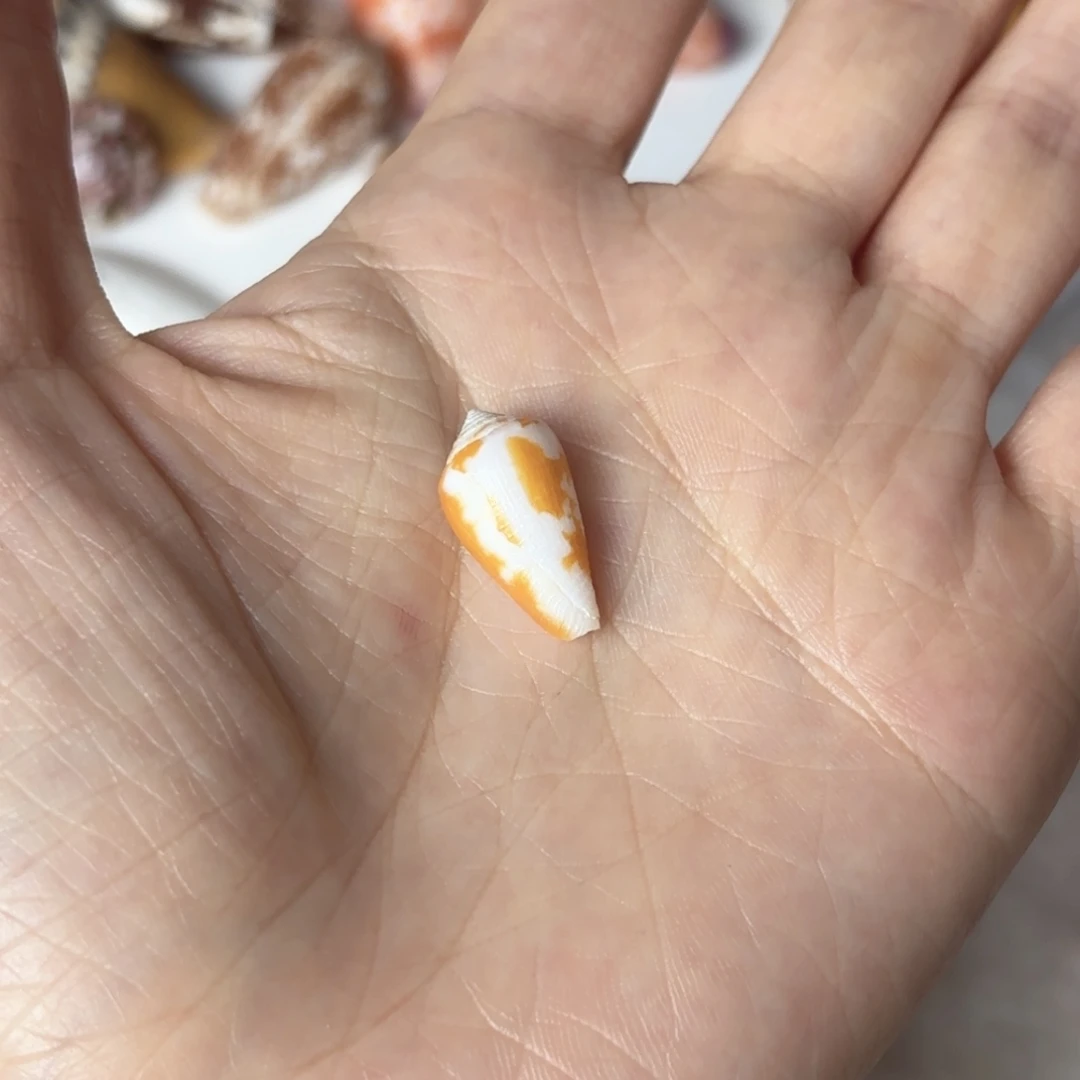 ****y特价福利不退不换