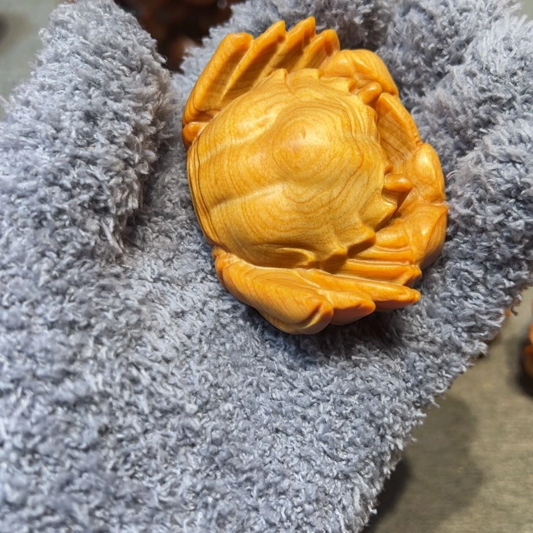 太行崖柏陈化太行