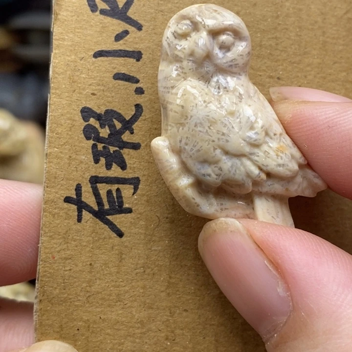 硅化珊瑚（珊瑚玉）未镶嵌颈饰