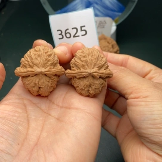 文玩核桃把件36白狮子3625