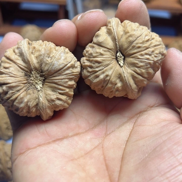 完全开放乐**原南瓜核桃