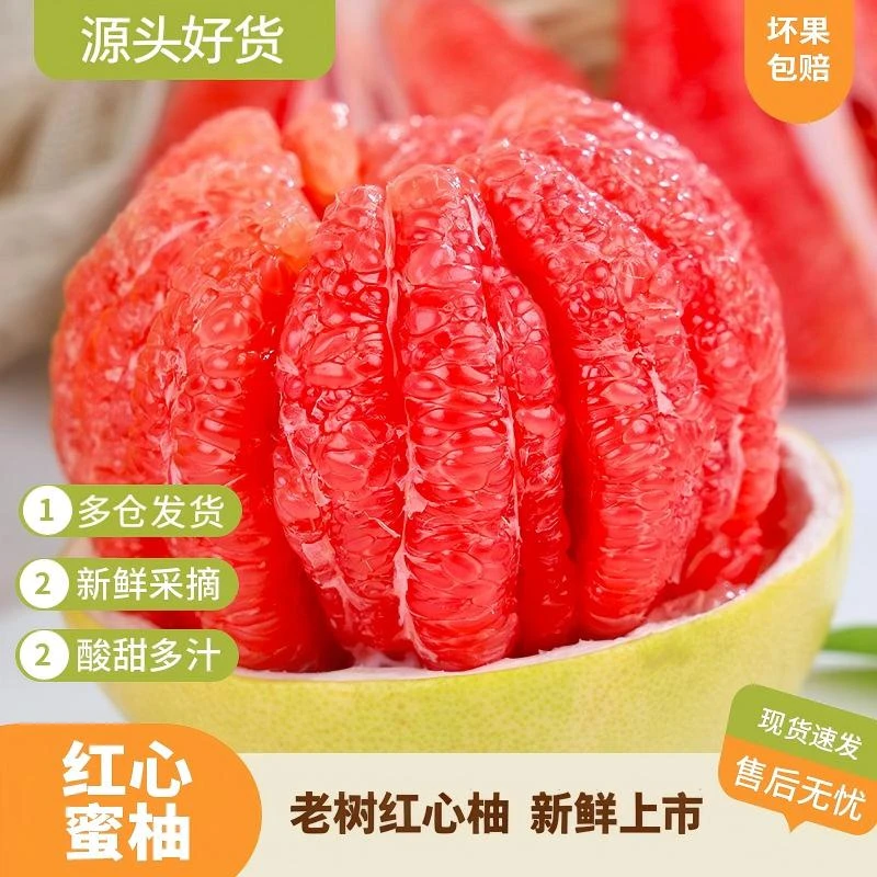 福建平和琯溪红心蜜柚3/5斤新鲜蜜柚 当季水果 酸甜多汁
