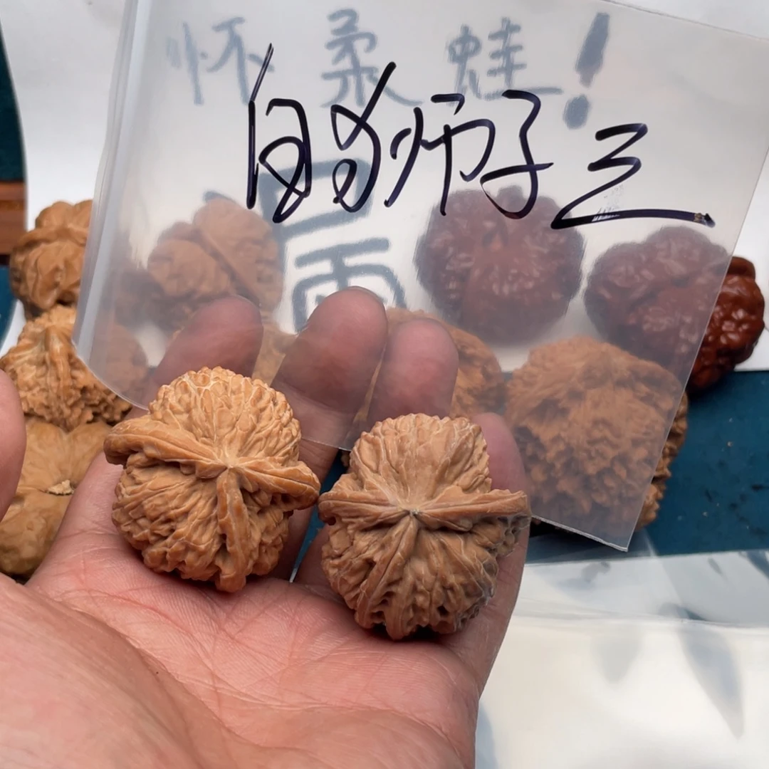 核桃657567735357537357573357