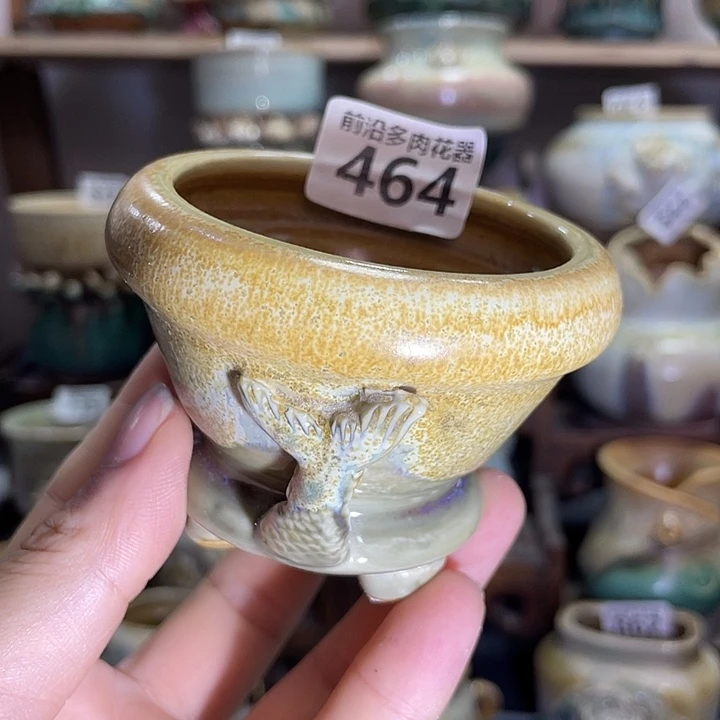 狼盆内口径6高度6