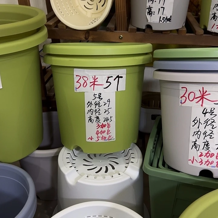 果绿色5号口径29高25无托10个