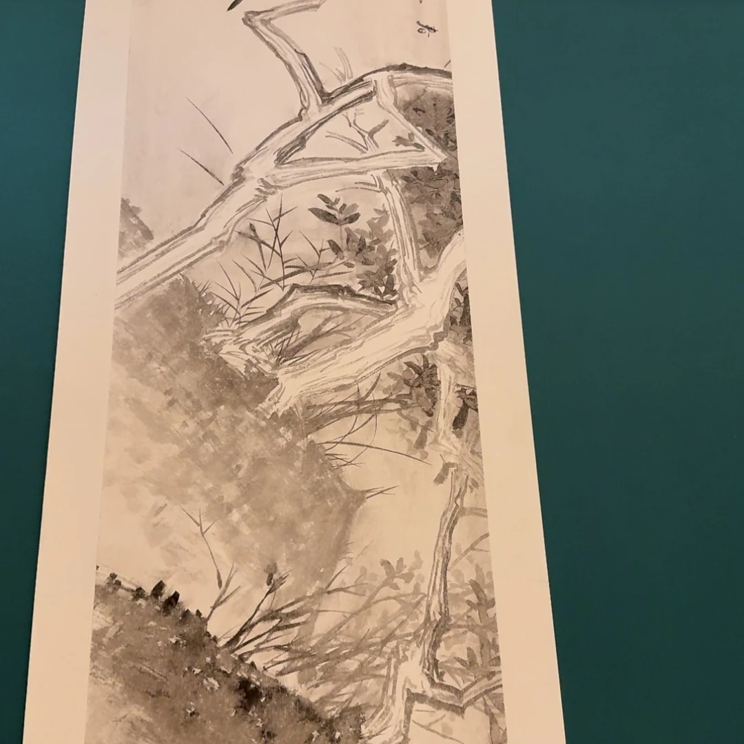 国画恽老师作品画作画作