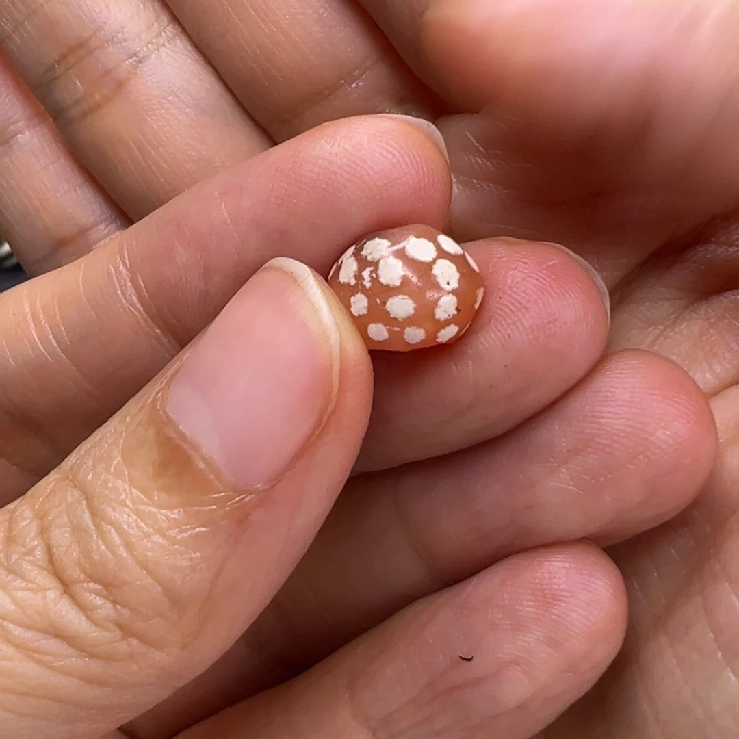 宝***活直发专拍专用链接