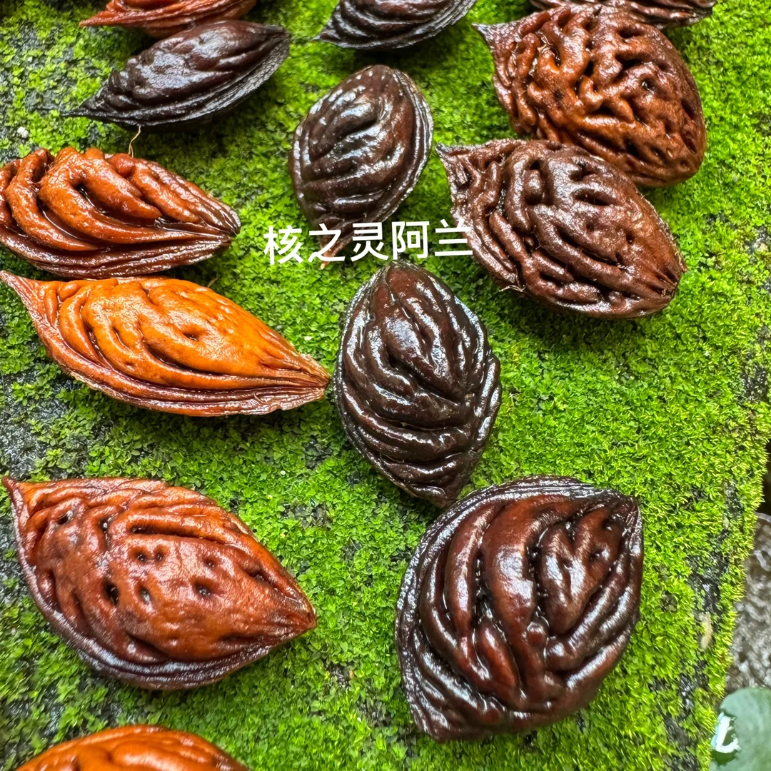 直播间（一物一拍）深山野生毛桃核桃枭