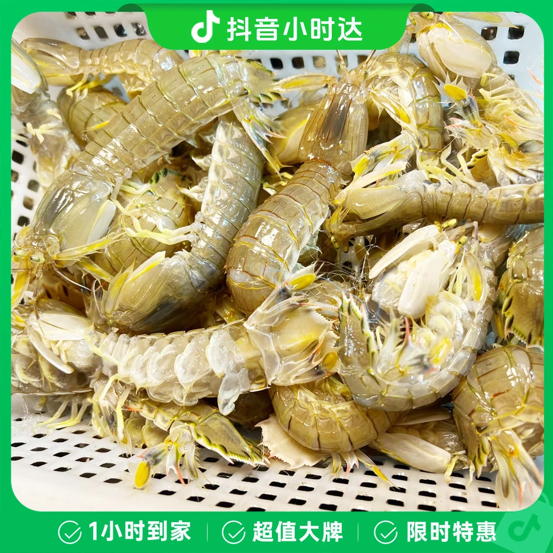 【包鲜不包活】精品皮皮虾500克/份