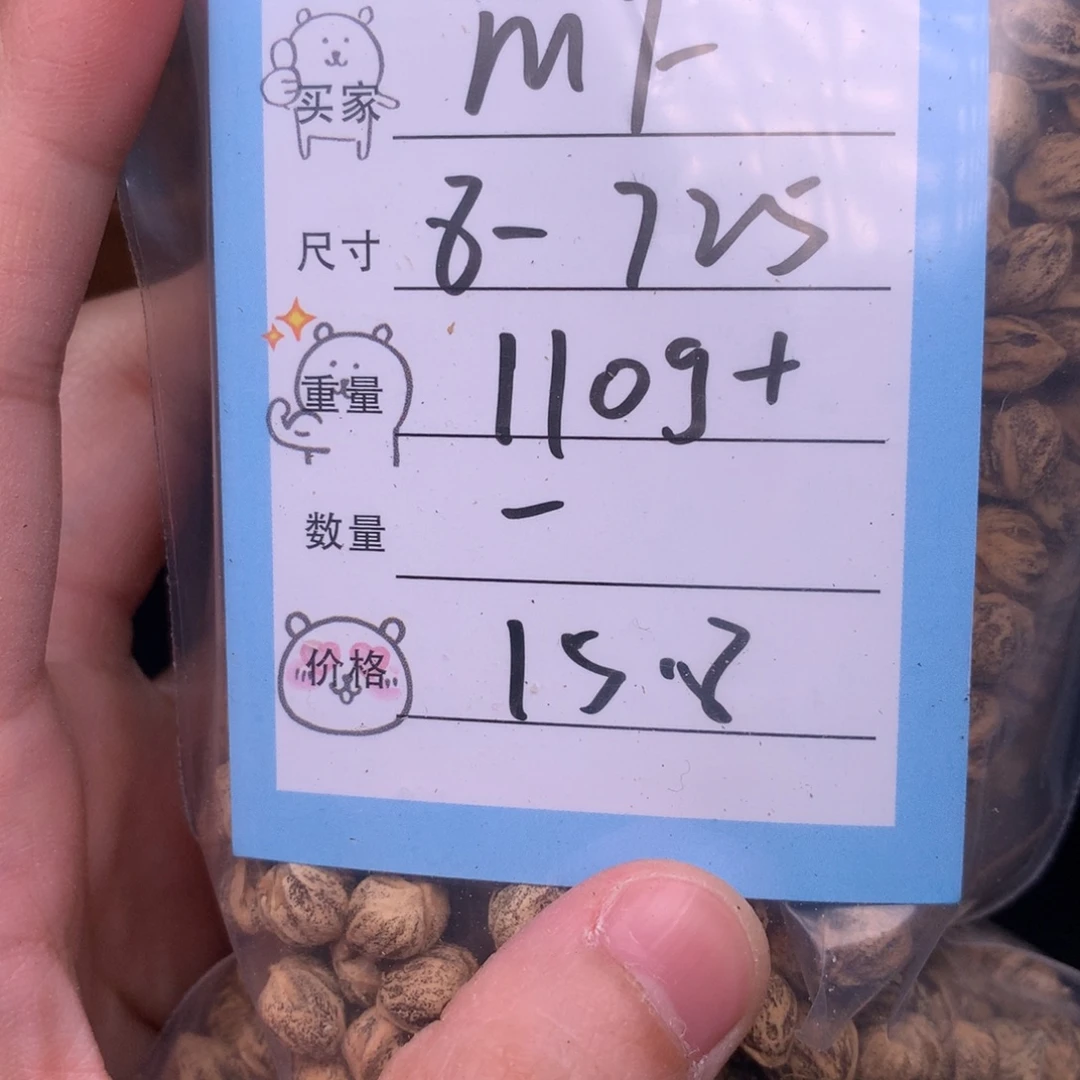 m***f柏香籽/百香籽吊坠