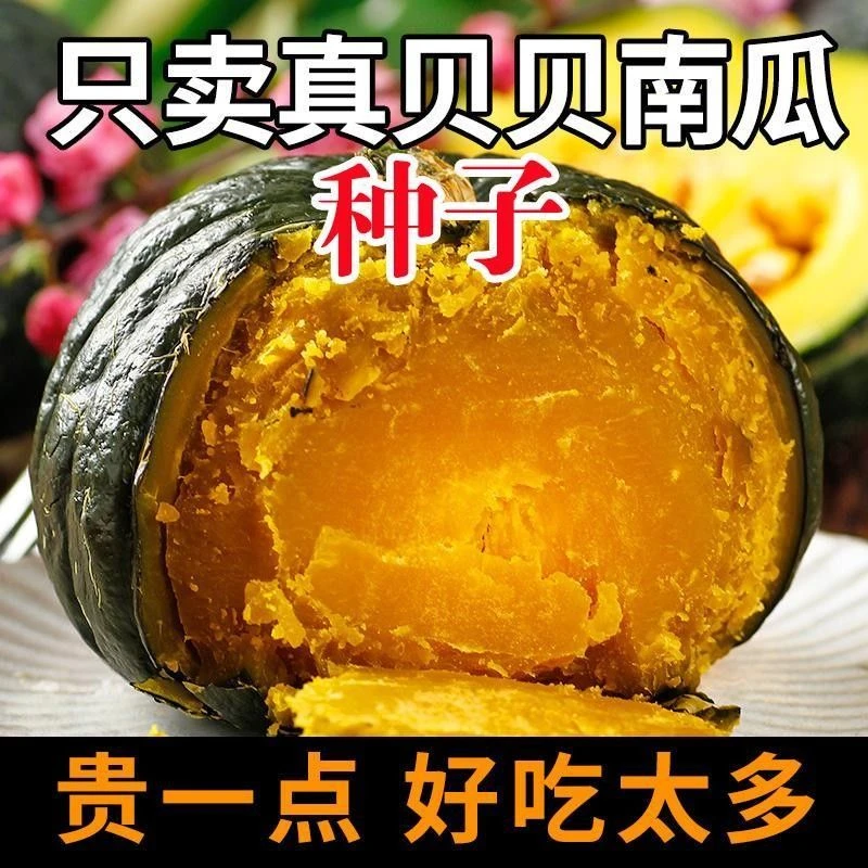 【满5包包邮】瓜果黄瓜草莓种子韭菜籽正宗青菜蔬菜板栗【满51包】