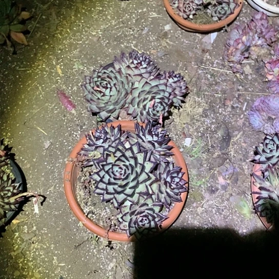 每日特价活动开始啦