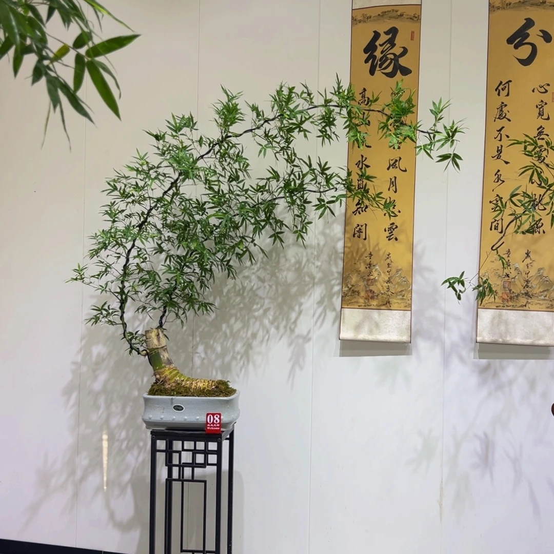 无花朵斜卧桩双杆