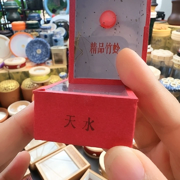 天水竹1只啊啊啊啊啊