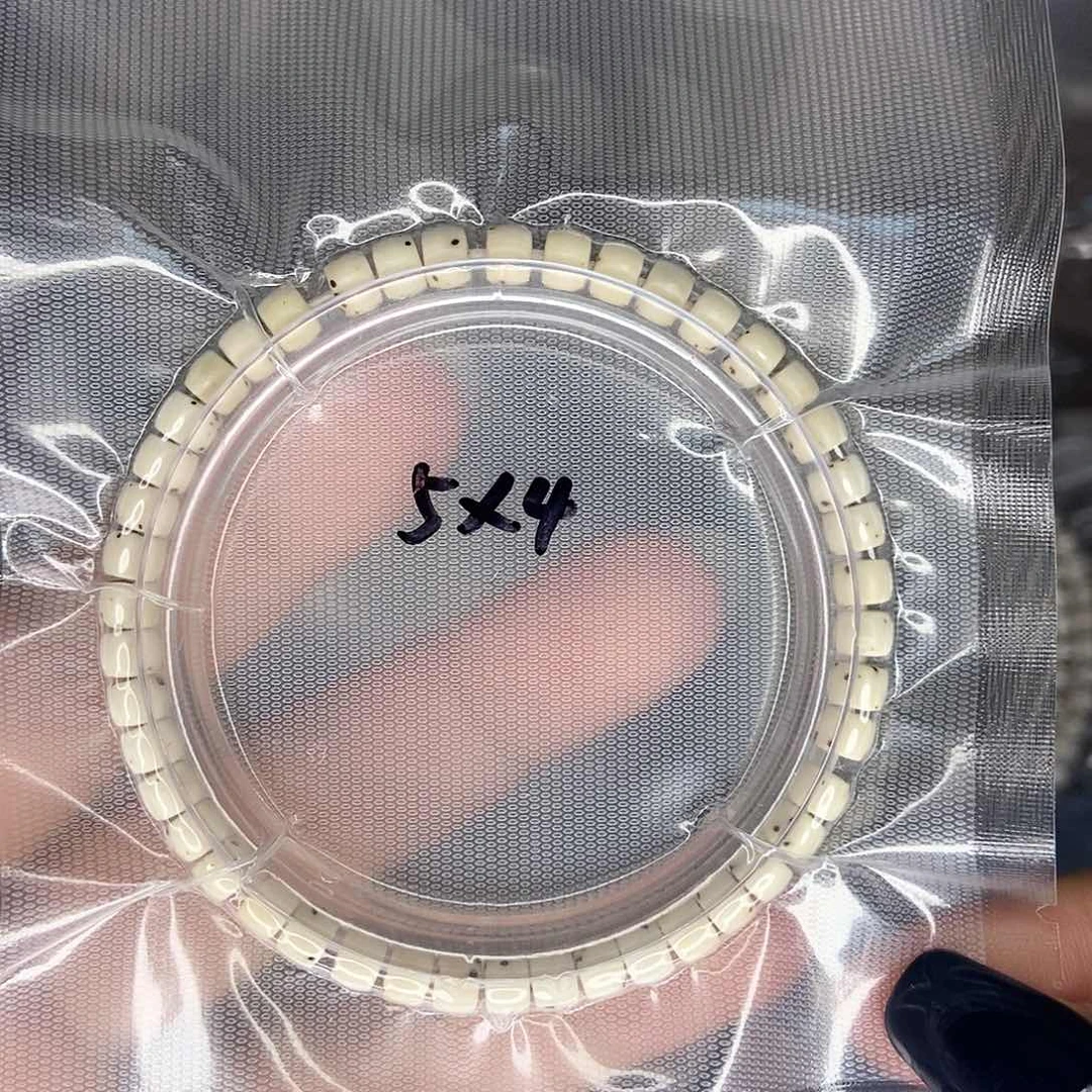 星月菩提手串星月