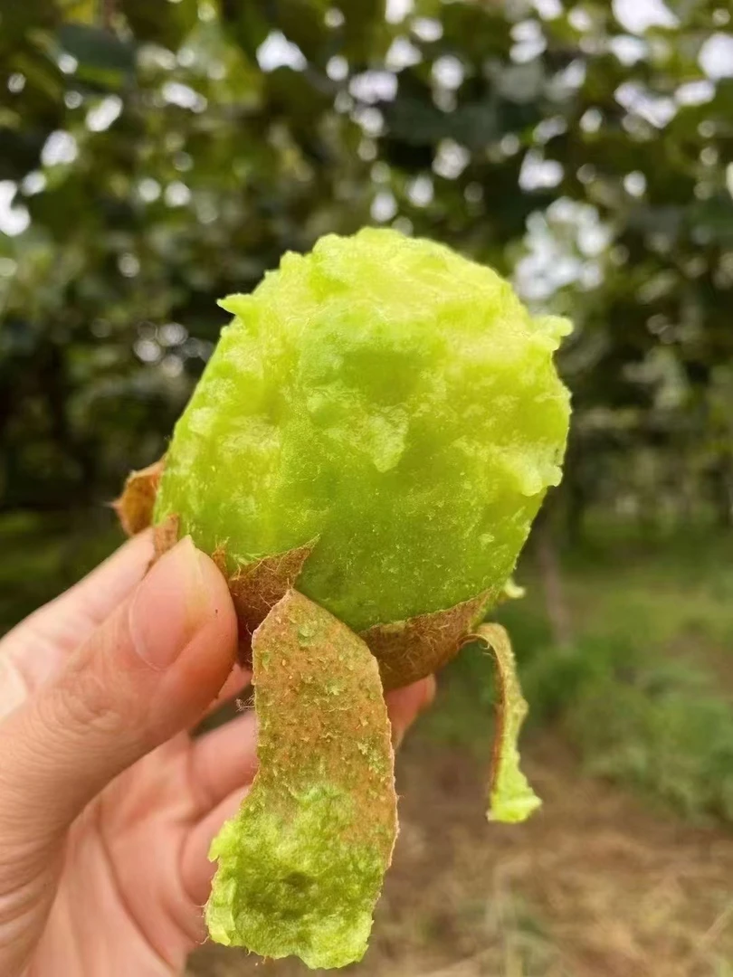 眉县产地绿心徐香猕猴桃（70-90g）新鲜应季水果维生素丰富