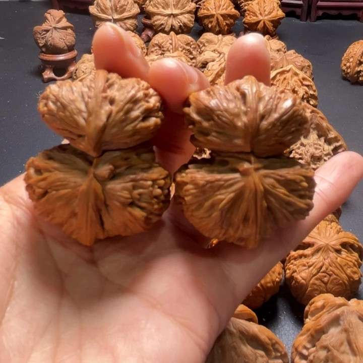 白狮子小桥连42尺寸核桃哈哈哈哈哈哈