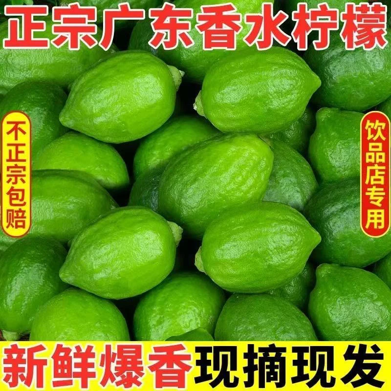 【果园直发】正宗广东香水柠檬精选手打柠檬茶奶茶店无籽批发青绿果