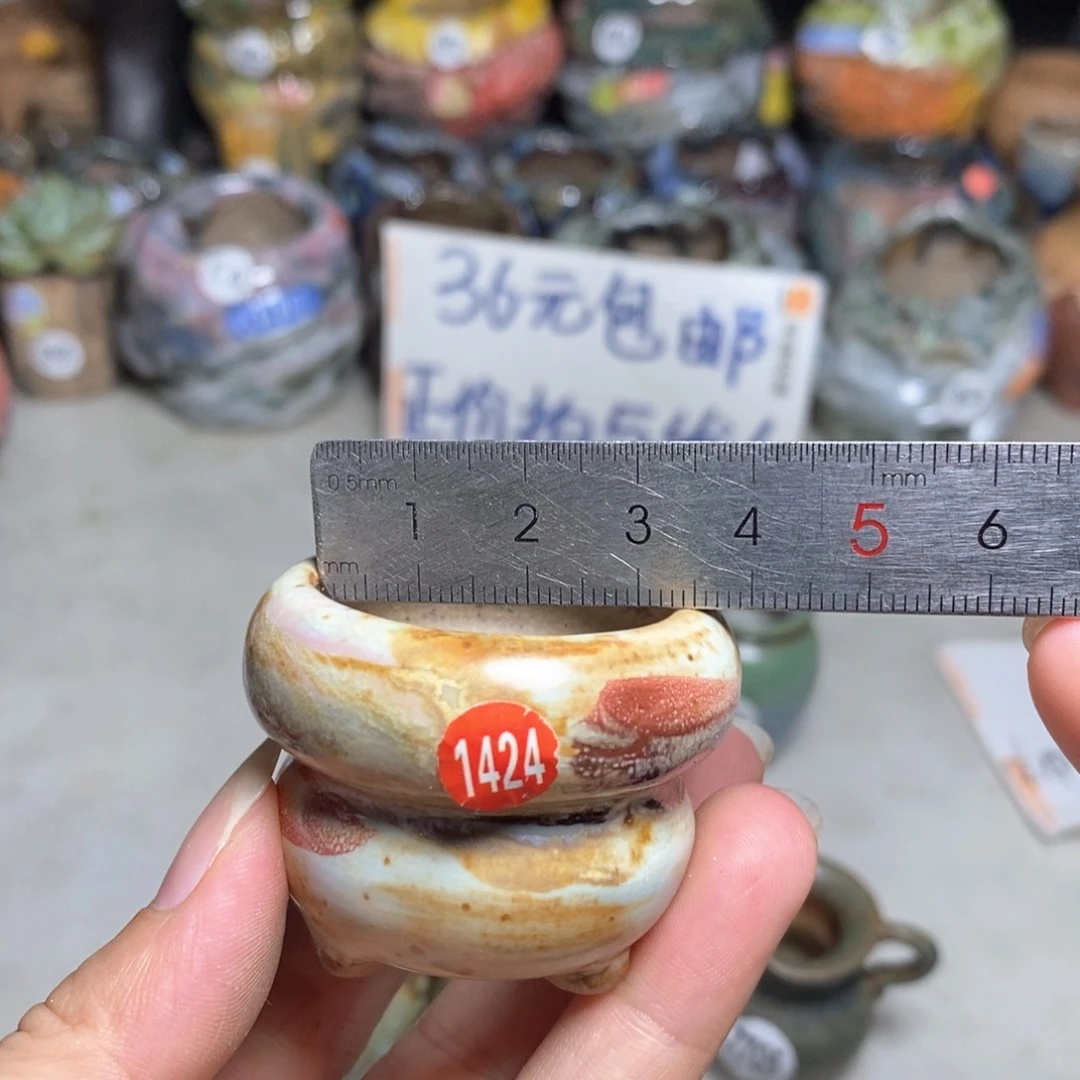 拍5送一个小礼物
