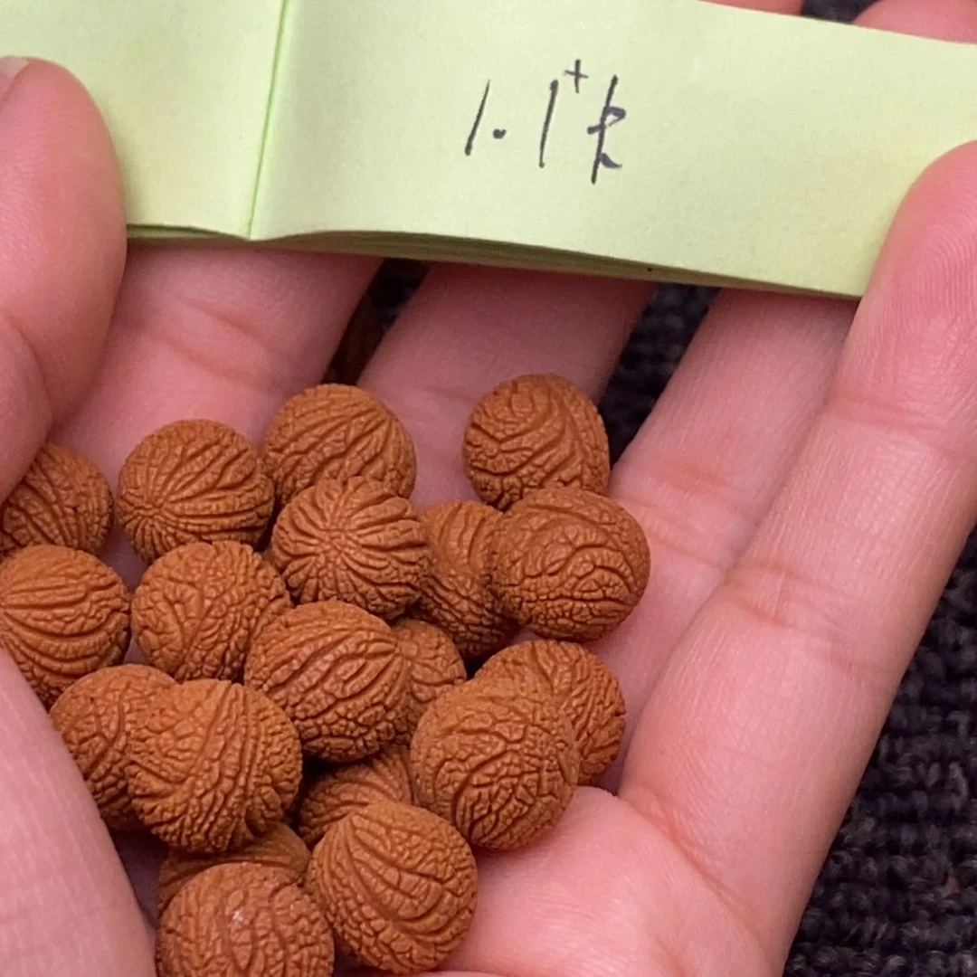 秦岭山脉龙纹桃核 21