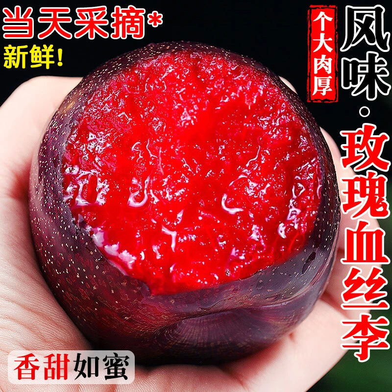 玫瑰血丝李新鲜李子现摘红心黑布林红肉恐龙蛋当季水果孕妇包邮