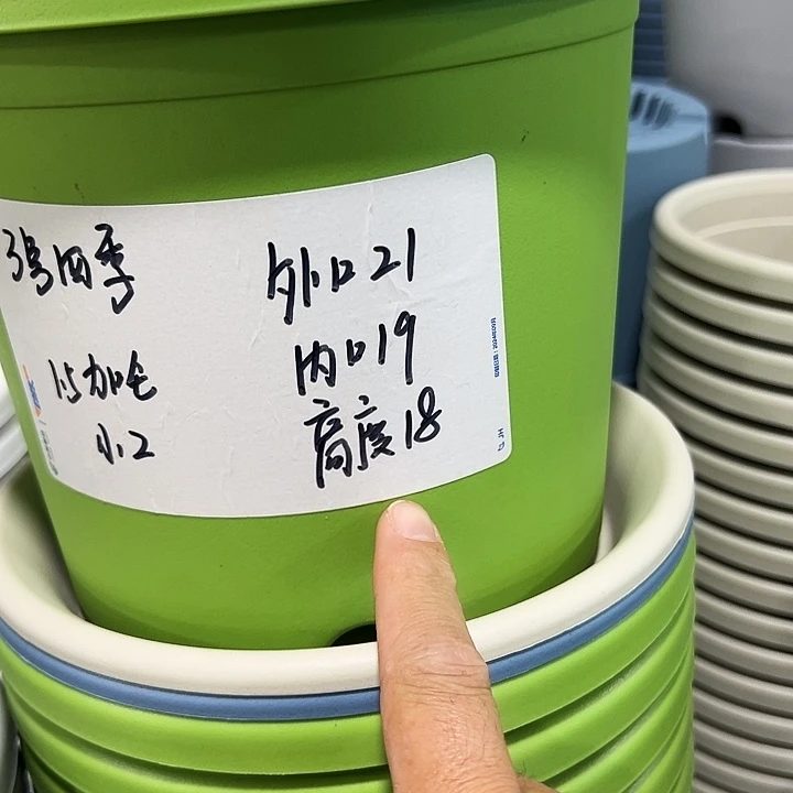 特价3号四季口21高18白色无托10只