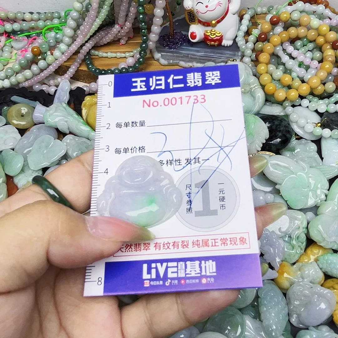 翡翠未镶嵌项圈Qqq