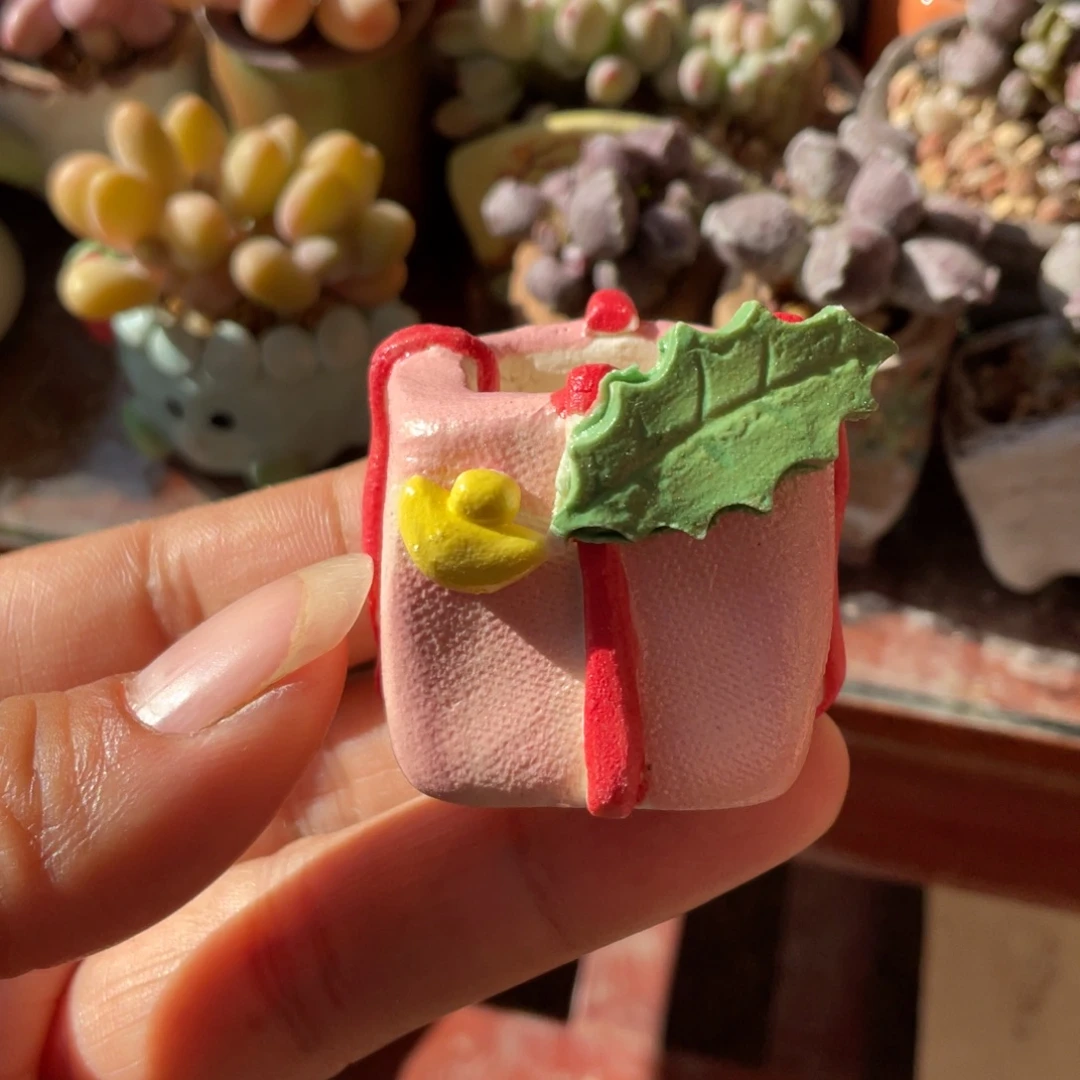 拇指盆非偏远满50包邮